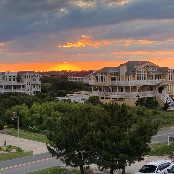 Meet your Posher, Payton - Picture 1 of 1